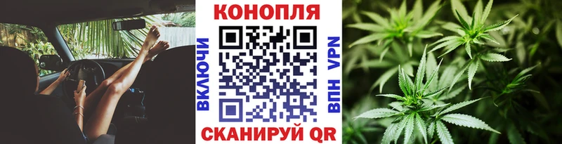 купить   Корсаков  Марихуана ГИДРОПОН 